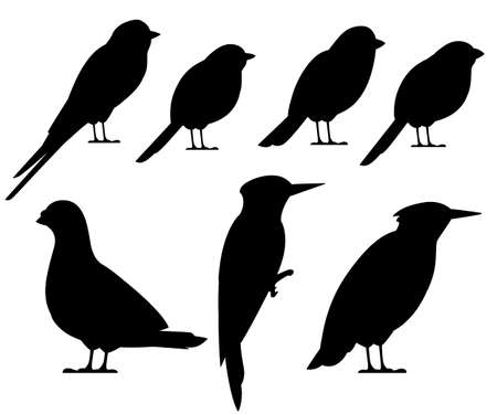 Bird black silhouette collection. Pigeon, Sparrow, Titmouse, Swallow, Woodpecker, Starling, Bullfinch. Flat birds icon. Vector illustration isolated on white background.のイラスト素材