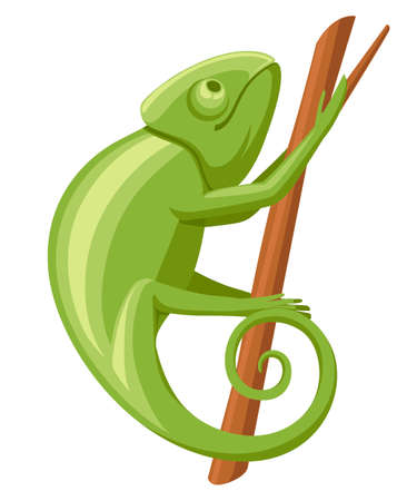 Cartoon chameleon climb on branch. Small green lizard. Chameleon design, flat icon. Vector illustration isolated on white background.のイラスト素材