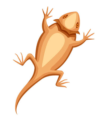 Flat bearded dragon. Small brown lizard. Central bearded dragon  design, flat icon. Vector illustration isolated on white background.のイラスト素材