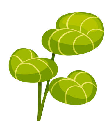 Green branch with big green leaves. Flat vector illustration isolated on white background.のイラスト素材