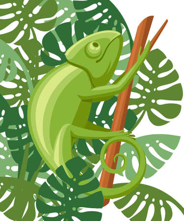 Cartoon chameleon climb on branch. Small green lizard. Chameleon  design, flat icon. Vector illustration on white background with green leaves.のイラスト素材