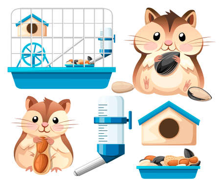 Hamster icon collection. Cute hamster sit and holding a sunflower seed, and nut. Hamster cage, wheel and automatic drinker. Cartoon character design. Flat vector illustration on white background.のイラスト素材