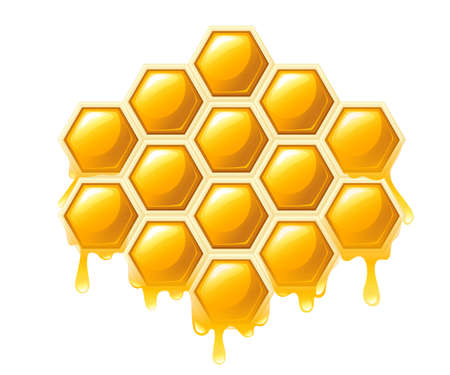 Honeycomb with honey drops. Sweet honey, shop or bakery. Flat vector illustration isolated on white background.のイラスト素材