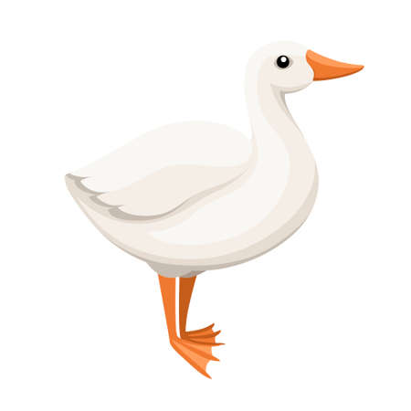 White goose. Farm domestic animal. Flat style animal design. Big home bird. Vector illustration isolated on white background.のイラスト素材