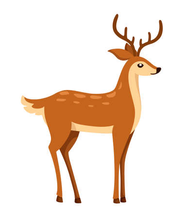 Brown deer. Hoofed ruminant mammals. Cartoon animal design. Cute deer with antlers. Flat vector illustration isolated on white background.のイラスト素材