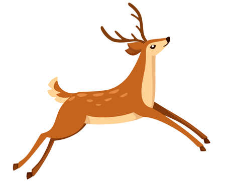 Brown deer run and jump. Hoofed ruminant mammals. Cartoon animal design. Cute deer with antlers. Flat vector illustration isolated on white background.のイラスト素材