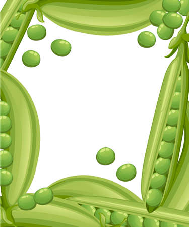 Green peas. Pods of green peas with leaves. Set with whole and open peas in pods. Flat vector illustration on white background. Cartoon style vegetable pattern.のイラスト素材
