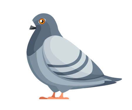 Pigeon bird sitting. Flat cartoon character design. Colorful bird icon.のイラスト素材