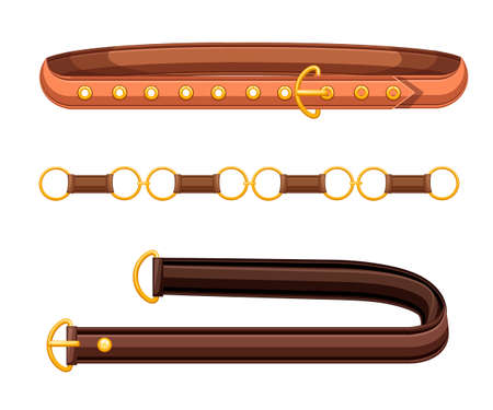 Brown leather belts with brass buckles. Flat vector illustration isolated on white background.のイラスト素材