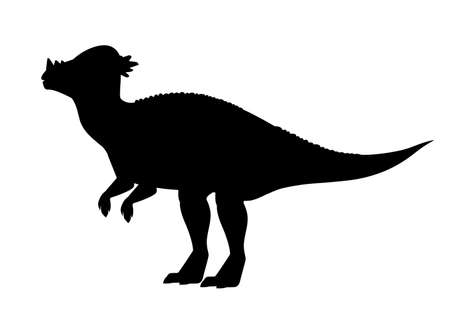 Black silhouette Pachycephalosaurus.のイラスト素材