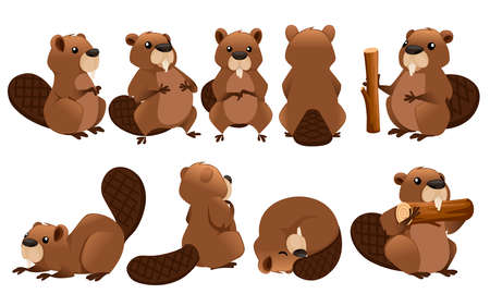 Cute brown beaver icon collection. Cartoon character design.のイラスト素材