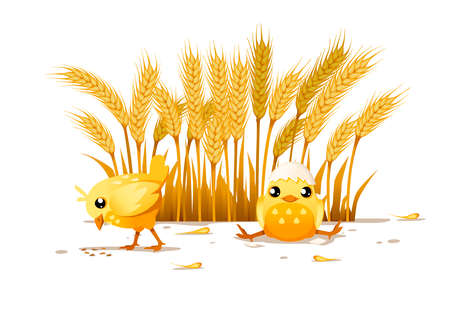 Cute two little chick one chick eat from ground and another sit with hat from egg shell cartoon character designのイラスト素材