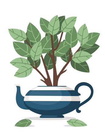 Blue ceramic teapot with tea bush growing out of it flat vector illustration on white background.のイラスト素材