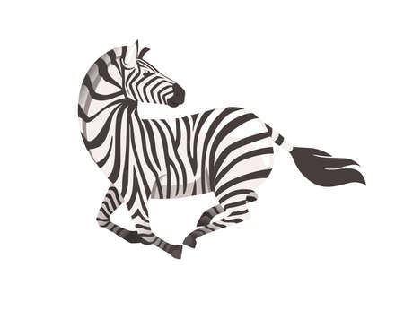 African zebra running with head looks back side view cartoon animal design flat vector illustration isolated on white background.のイラスト素材
