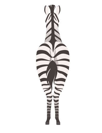 African zebra back view cartoon animal design flat vector illustration isolated on white background.のイラスト素材