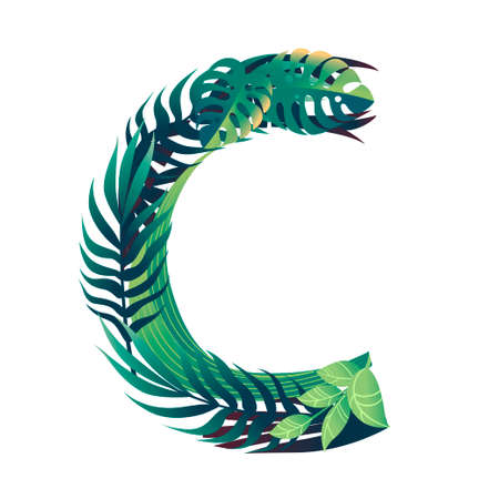 Leaf letter C with diffirent types of green leaves and foliage flat vector illustration isolated on white background.のイラスト素材