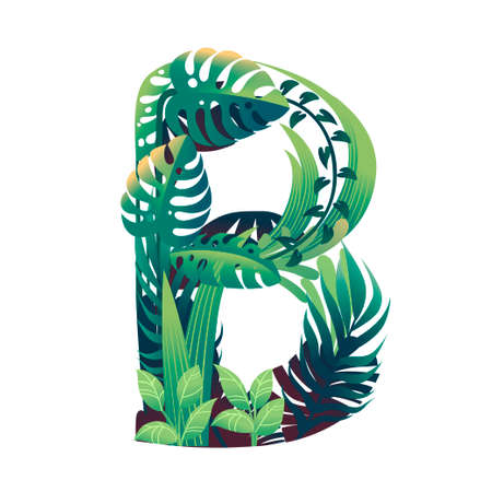 Leaf letter B with diffirent types of green leaves and foliage flat vector illustration isolated on white background.のイラスト素材