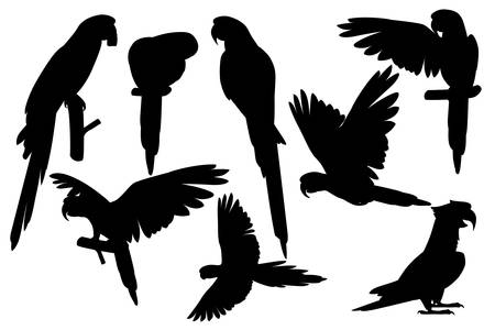 Black silhouette set of adult parrot of red-and-green macaw Ara (Ara chloropterus) cartoon bird design flat vector illustration isolated on white background.のイラスト素材