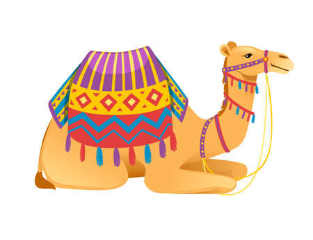Cute two hump camel with bridle and saddle sitting on ground cartoon animal design flat vector illustration isolated on white background.のイラスト素材