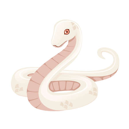 White albino snake cartoon animal design flat vector illustration isolated on white background.