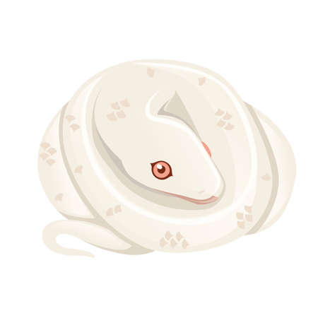 White albino snake cartoon animal design flat vector illustration isolated on white background.のイラスト素材