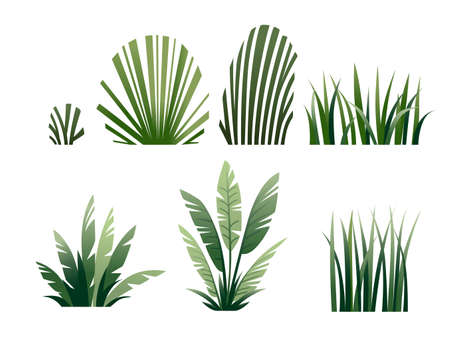 Set of green grass and bushes modern foliage design for garden or public park decoration flat vector illustration isolated on white background.のイラスト素材