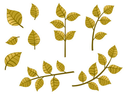 Set of green autumn leaves on branches flat vector illustration isolated on white background.のイラスト素材