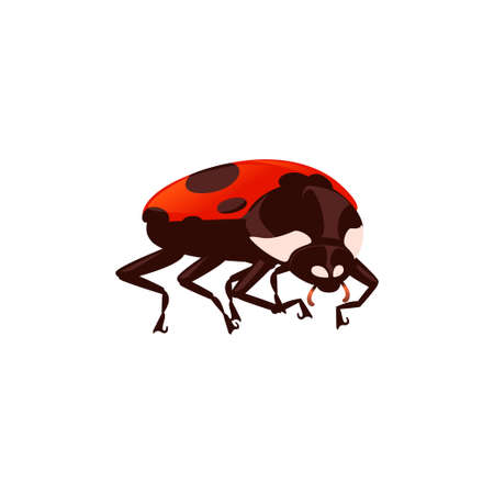 Ladybug with closed shell beetle cartoon bug design flat vector illustration isolated on white background.のイラスト素材