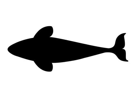 シャチの写真素材 イラスト素材 ストックフォトのamanaimages Plus