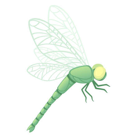Green dragonfly with big yellow eyes flat vector illustration isolated on white background.のイラスト素材