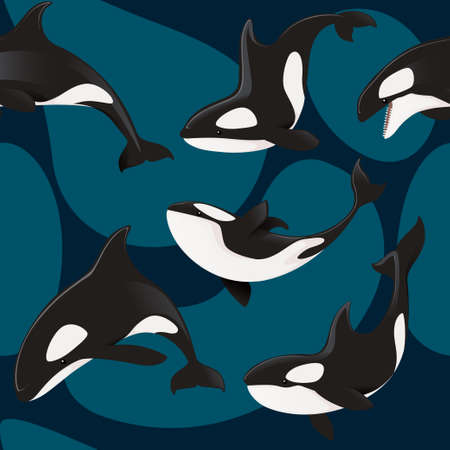 Seamless pattern of killer whale orca cartoon animal design flat vector illustration on blue background.のイラスト素材