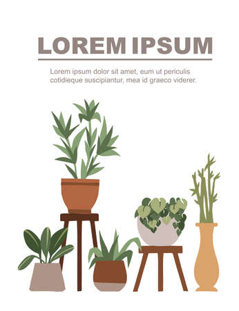 Home decorative and outdoor garden plants in pots set green plants flat vector illustration on white background advertising flyer banner design.のイラスト素材