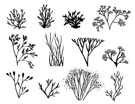 Set of black colored seaweeds silhouette underwater ocean plants sea coral elements flat vector illustration on white background.のイラスト素材