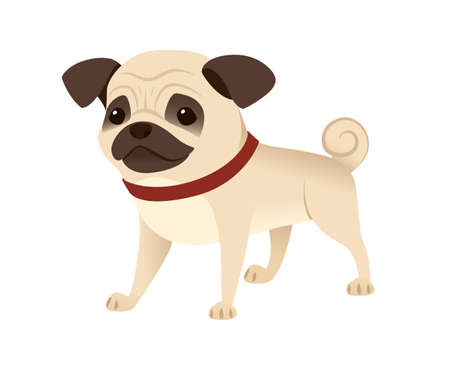 Cute small friendly pug dog cartoon domestic animal design flat vector illustration isolated on white background.のイラスト素材
