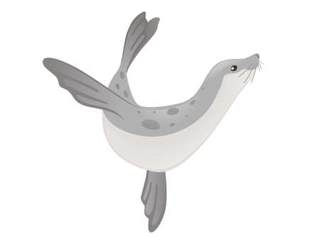 Cute seal cartoon animal design flat vector illustration isolated on white background.のイラスト素材