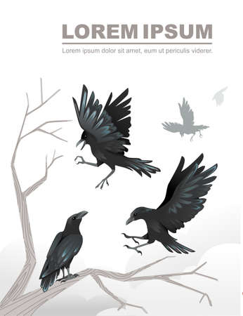 Group of black crows a dead tree branch advertising flyer design cartoon animal style flat vector illustration on white background.のイラスト素材