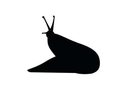 Black silhouette slug cartoon animal design flat vector illustration isolated on white background.のイラスト素材