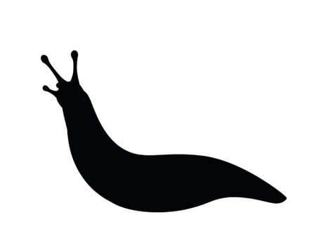 Black silhouette slug cartoon animal design flat vector illustration isolated on white background.のイラスト素材