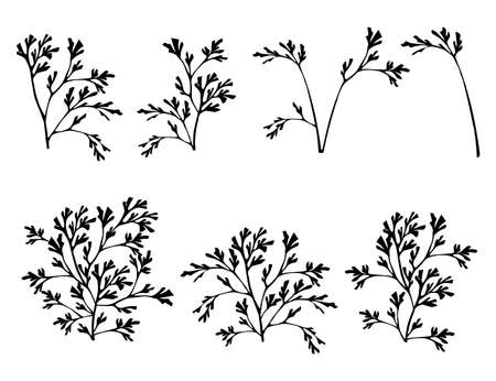 Set of black coral seaweeds silhouettes flat vector illustration isolated on white background.のイラスト素材