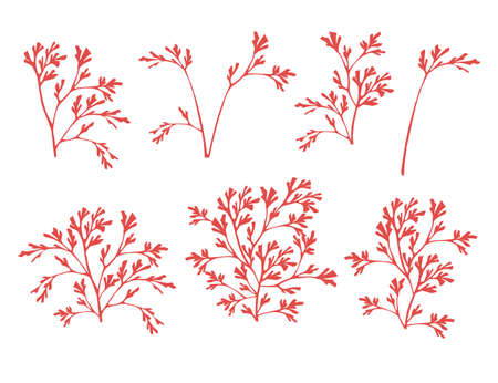 Set of red coral seaweeds silhouettes flat vector illustration isolated on white background.のイラスト素材