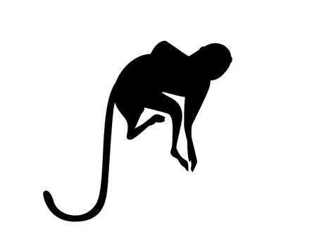 Black silhouette cute vervet monkey cartoon animal design flat vector illustration isolated on white background.のイラスト素材