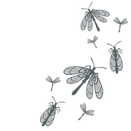 Pattern with simple flat beetle with different wings insects flat vector illustration on white background.のイラスト素材