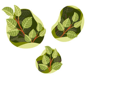 Abstract creative pattern with green leaves on tree branches flat vector illustration on white...