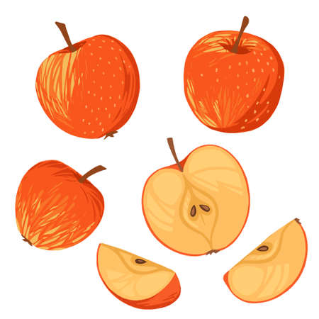 Seamless pattern of apples whole halved and sliced pieces flat vector illustration on white background.のイラスト素材