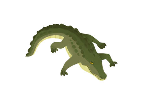 Green crocodile character big carnivore reptile cartoon animal design flat vector illustration isolated on white backgroundのイラスト素材