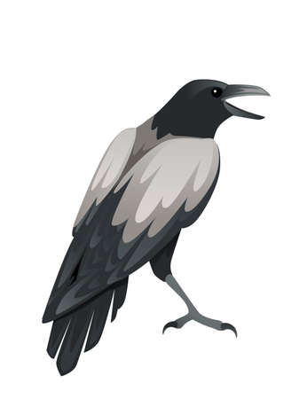 Predatory bird adult black and gray crow cartoon animal design birds of prey character flat vector illustration isolated on white backgroundのイラスト素材