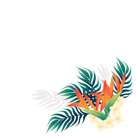 Pattern of decorative flowers Bird of Paradise floral element for garden or flower pot flat vector illustration isolated on white background.のイラスト素材