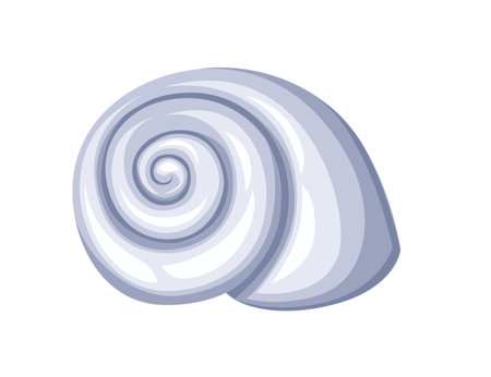White seashell simple nautical souvenir vector illustration isolated on white background.のイラスト素材