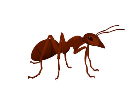 Cute brown ant looks around cartoon bug animal design vector illustration isolated on white background.のイラスト素材