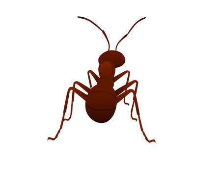 Cute brown ant looks around cartoon bug animal design vector illustration isolated on white background.のイラスト素材